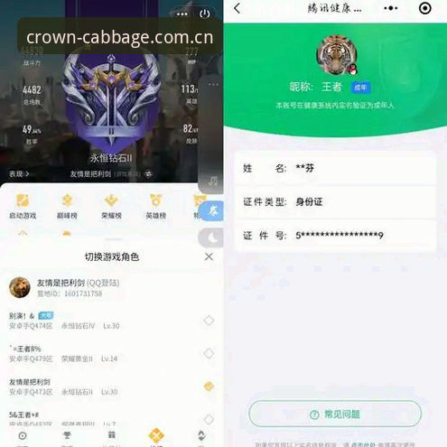 揭秘冠军白菜电脑版iOS版：老用户亲测，这些隐藏功能你绝对不知道
