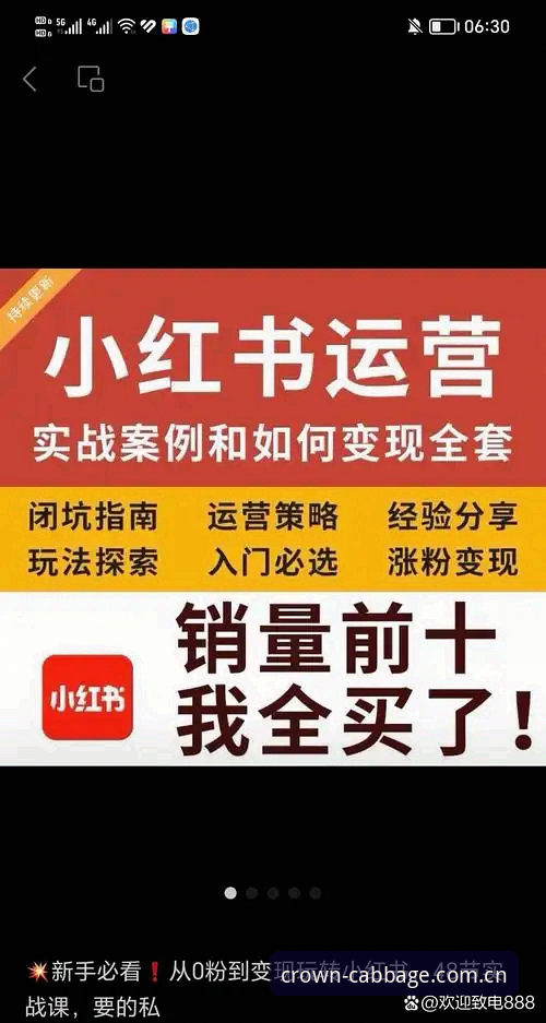 冠军白菜苹果版推荐深度分析：从下载到提现的完整实战指南